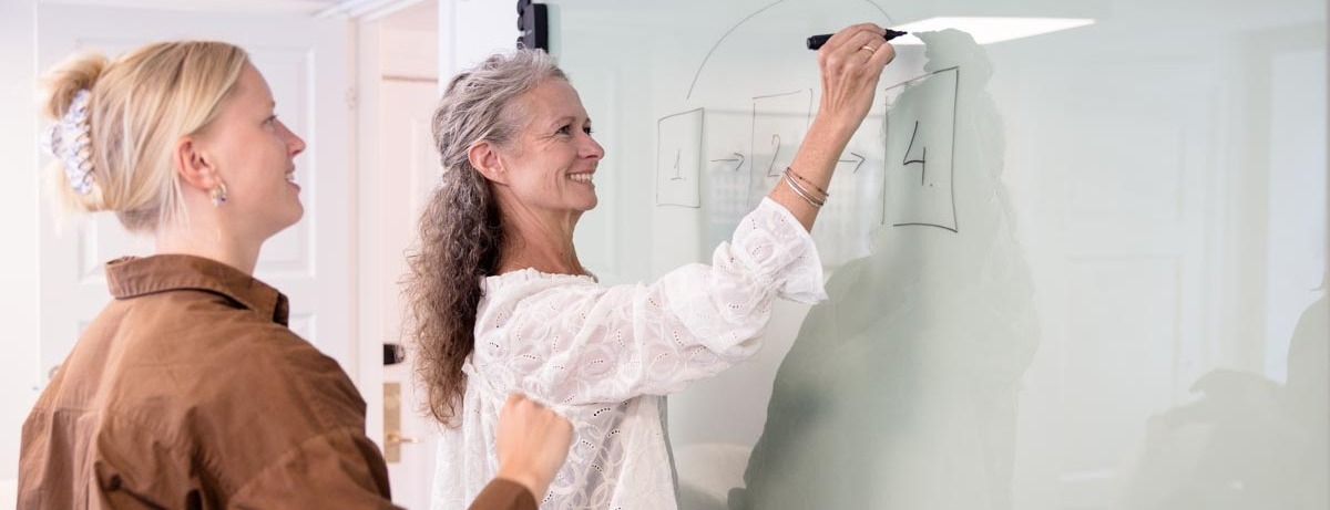 Two colleagues drawing a model on a whiteboard